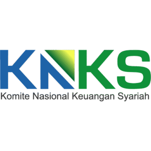 logo knks